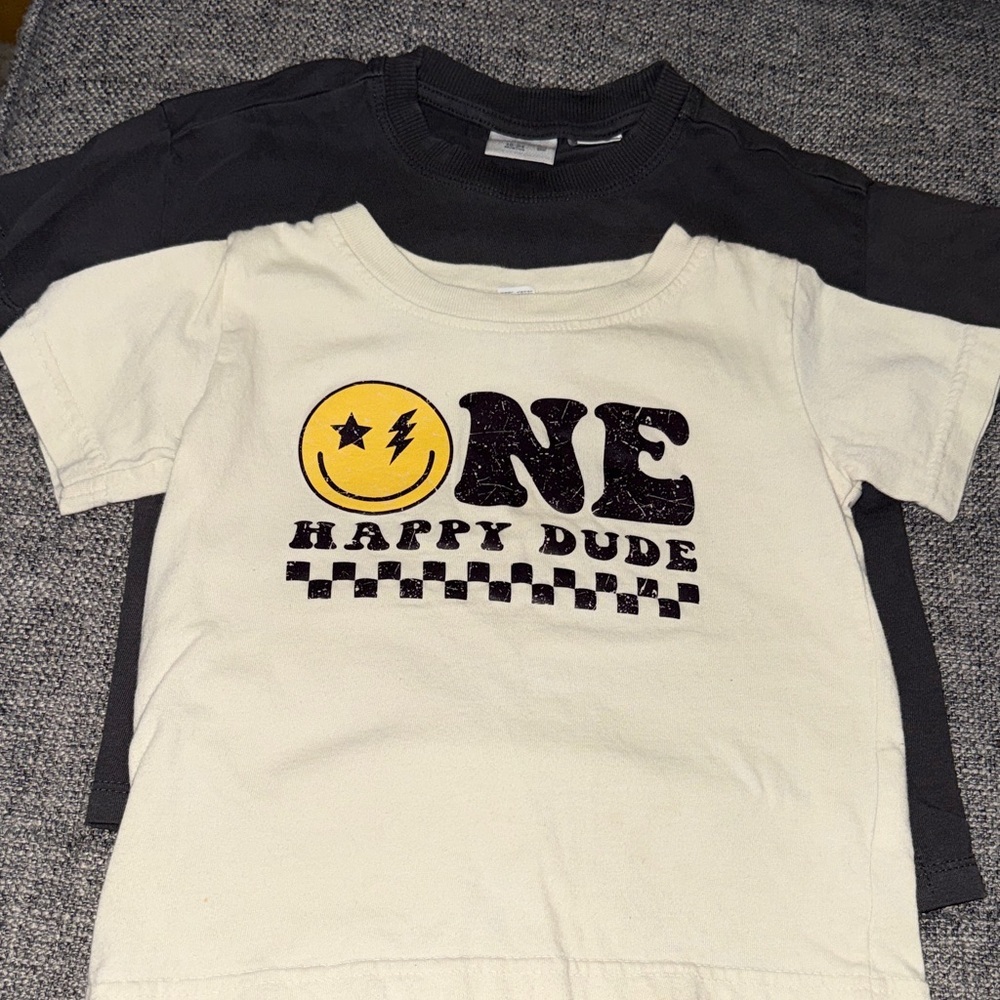 Zara and rabbit skins 18 month boy t shirt bundle